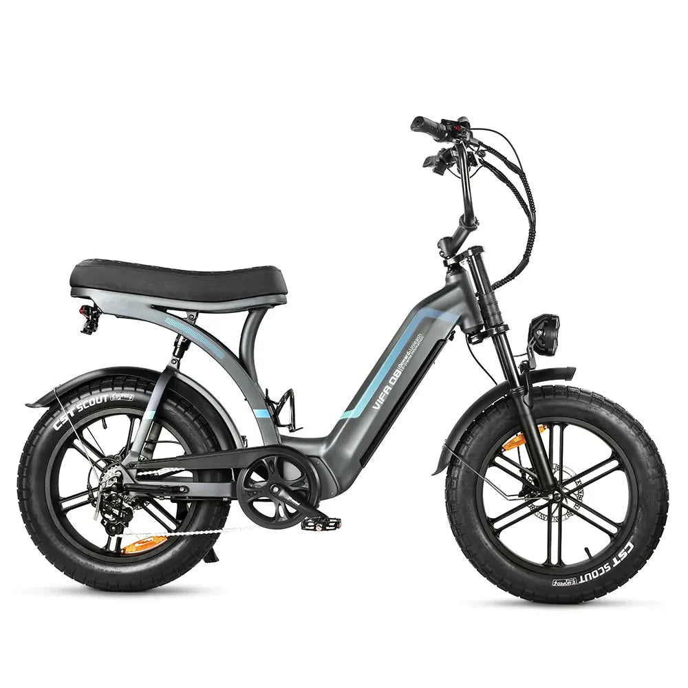 OUXI Q8 20"Fat Tire Electric Bike 750W Motor 50KM/H Max Speed 48V 20Ah Battery